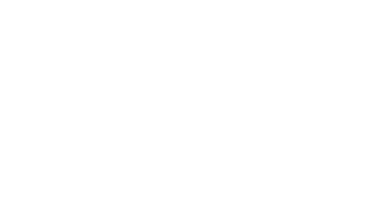 avi-spl logo