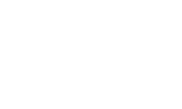 White NAIT logo