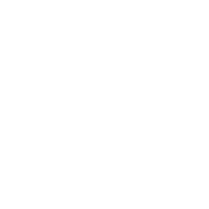 graph and magnifier icon
