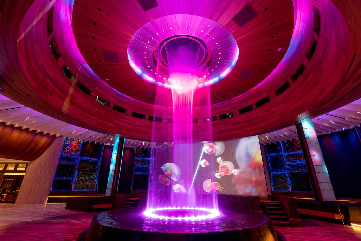 Hard Rock Hotel jellyfish hologram