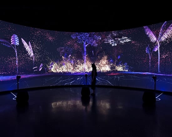 large interactive video wall in Museum of the Future Dubai