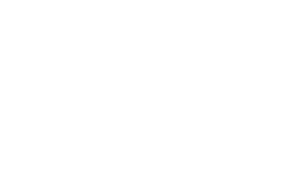 VIBE Tech Expo word  logo in white 