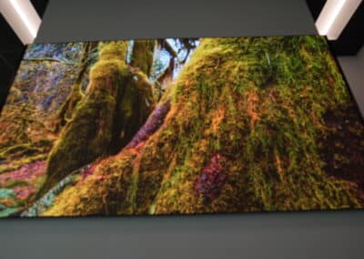 Nanolumens display with Chief TiLED wall mount at AVI-SPL Dallas featuring forest visuals.