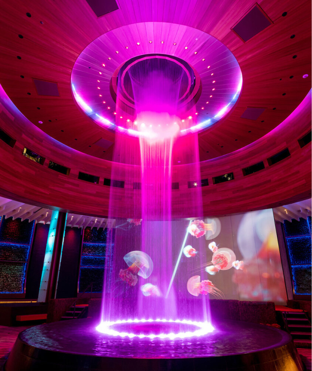 A vibrant indoor light display with pink-purple hues forms an illuminated water curtain, with jellyfish projections enhancing the ambiance.