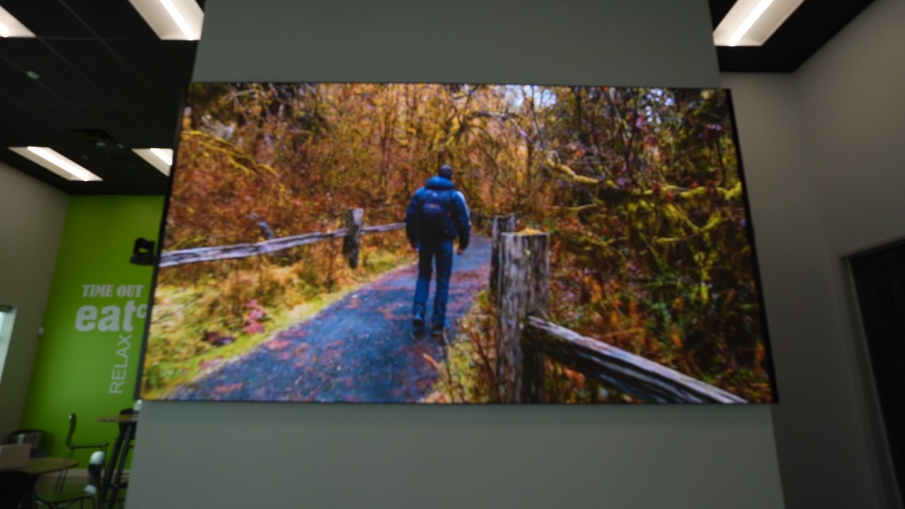 Display image: person in blue jacket/jeans on forest path by wooden fence; autumn foliage. Indoor setting: green walls, fluorescent lights.