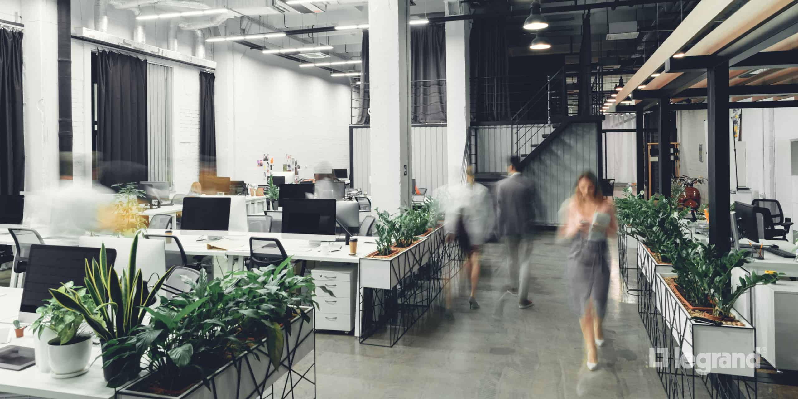 Modern open-plan office: large windows, white walls, desks with computers; green plants divide space. People move energetically.