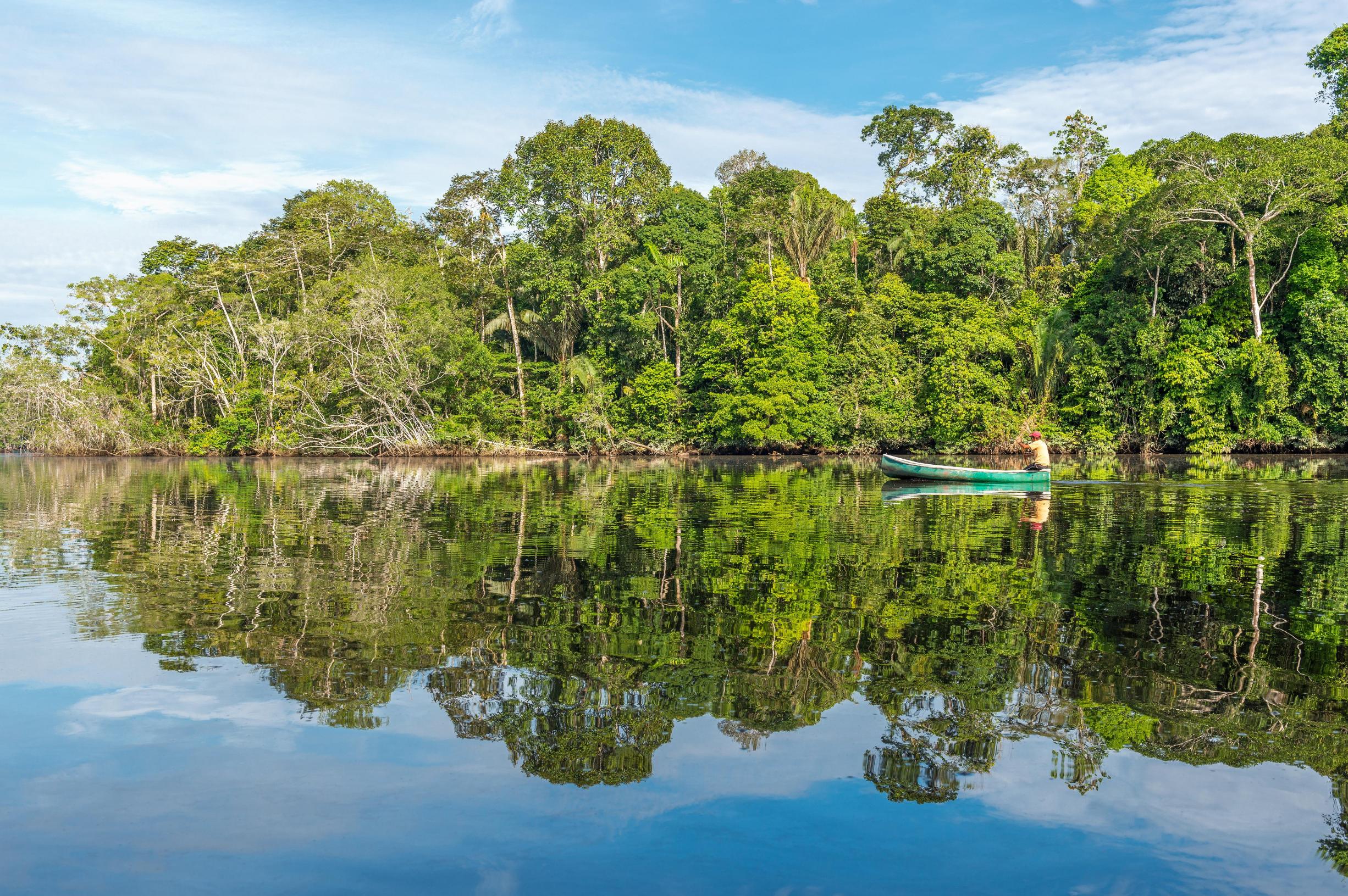 canoe on a lake in a forest