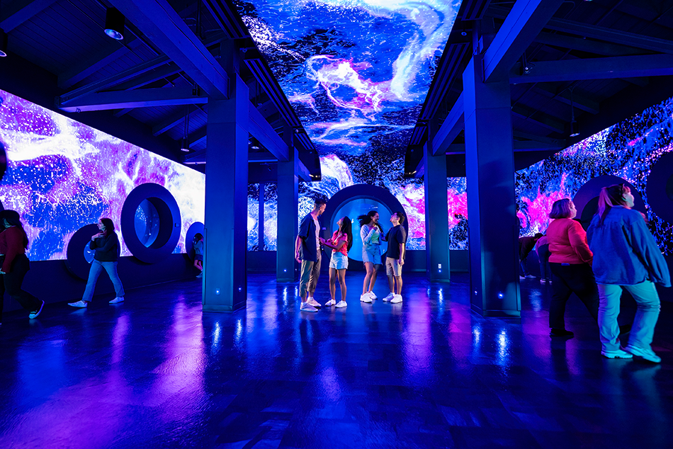 The Q-Sys Core110 controls multiple audio zones and jellyfish tank lighting