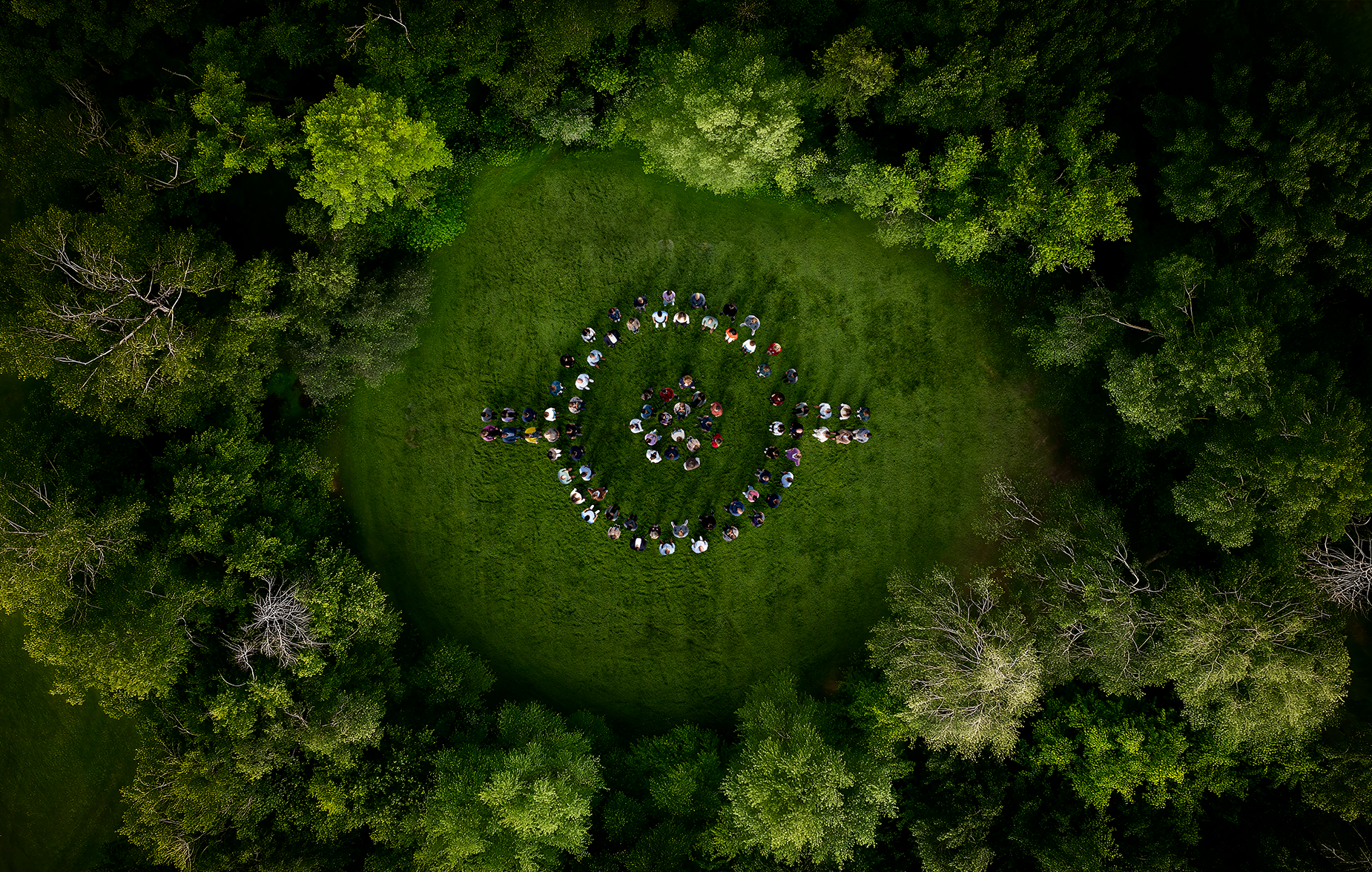 People standing in a forest clearing in the Barco logo