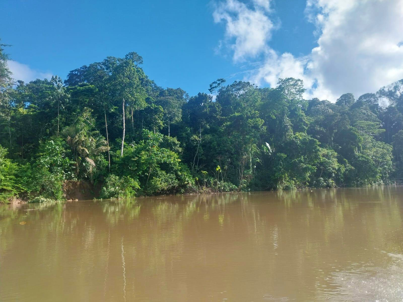 View of the Amazon River