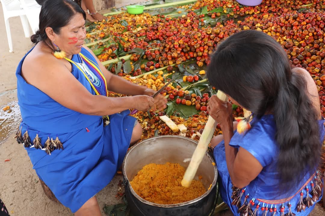 Ecuador Rainforest Project