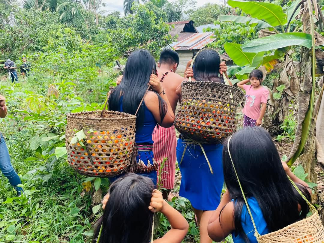 Corporate Sustainability in Action: Protecting Forests, Preventing Emissions