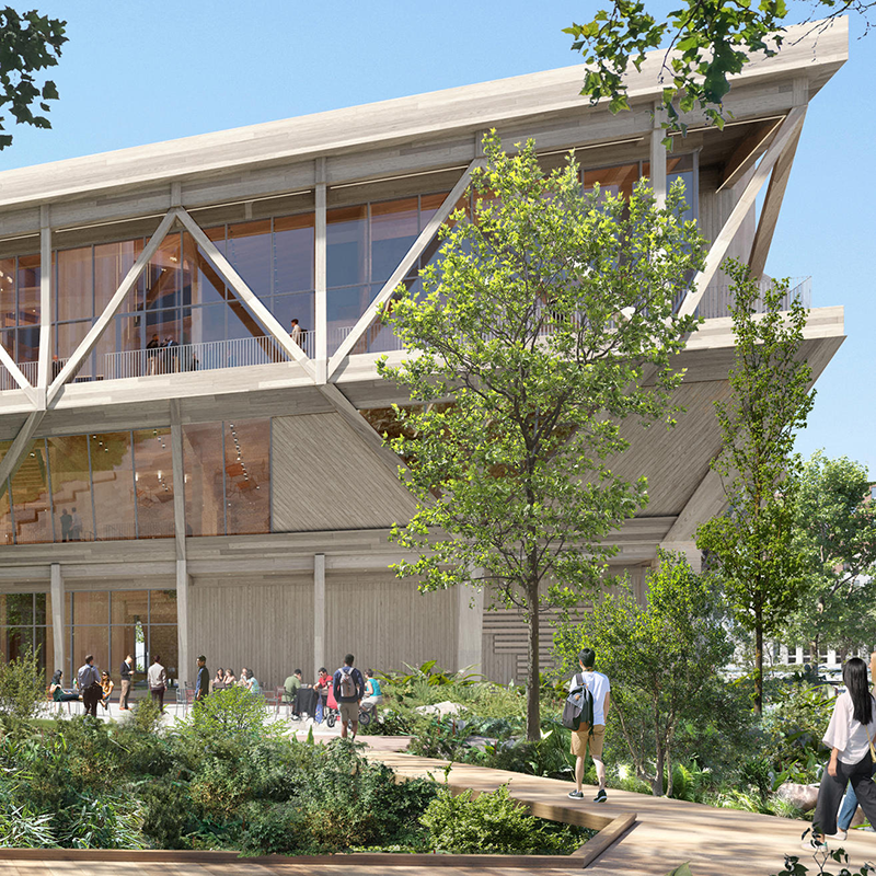 David Rubenstein Treehouse