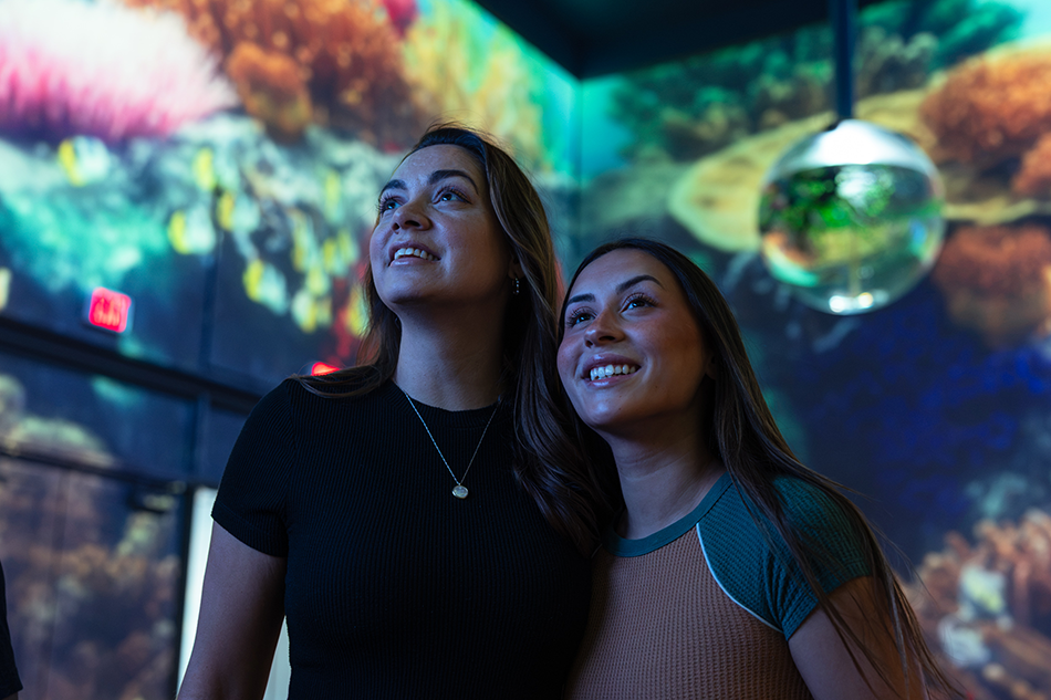 To create the floor-to-ceiling effect, the team positioned projectors to give visitors clear, shadow-free views.