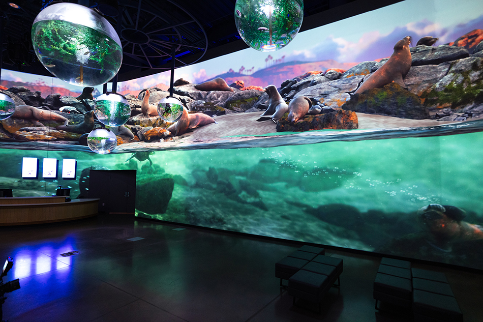 The one-of-a-kind aquarium lobby welcomes visitors and invites them to explore six stunning underwater scenes.
