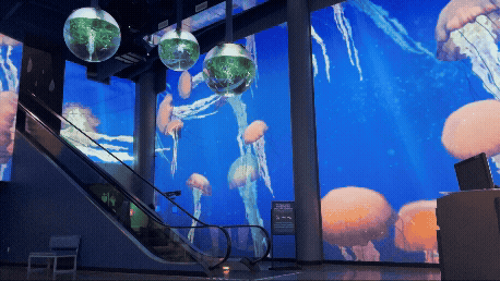 Odysea Lobby Animated GIF