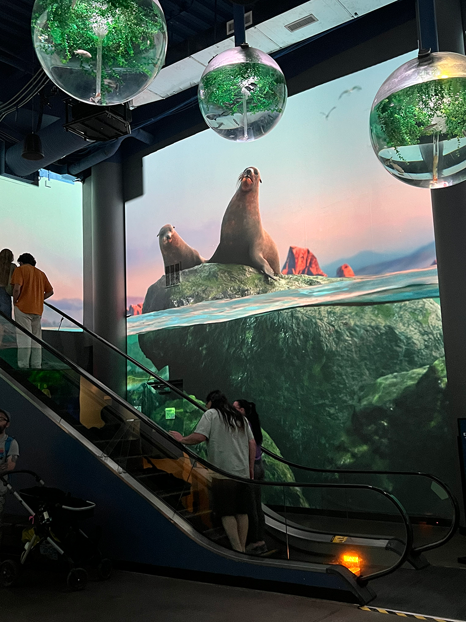 OdySea Aquarium Lobby