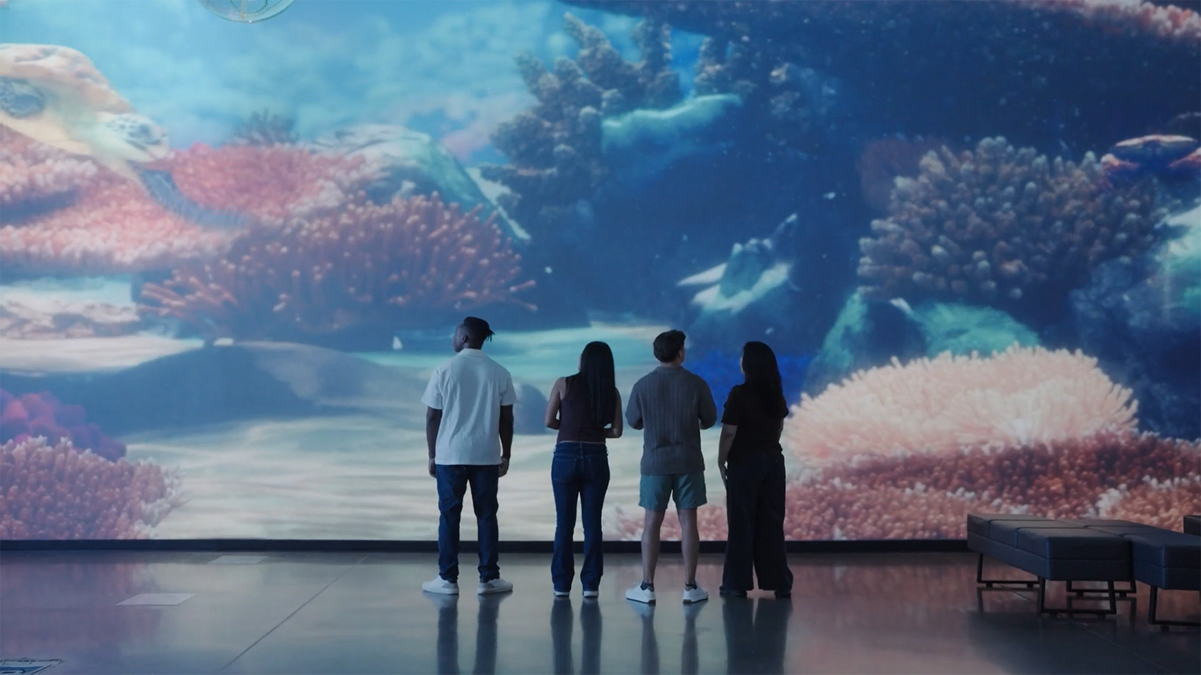 OdySea Aquarium video wall