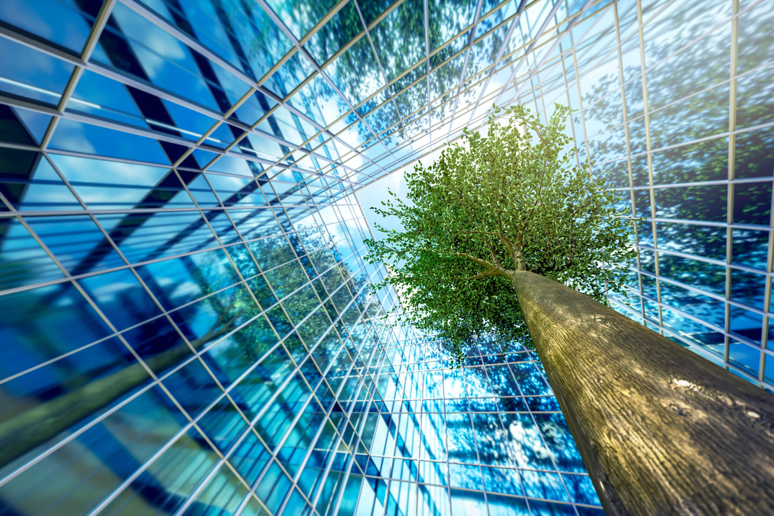 Tree and Building Signifying Renweable Energy Strategies