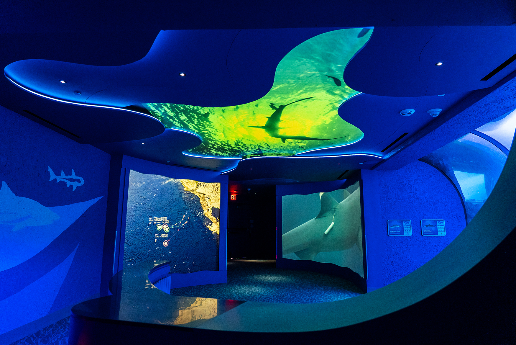 Media gallery with overhead and standard curved video walls with shark footage on screen.