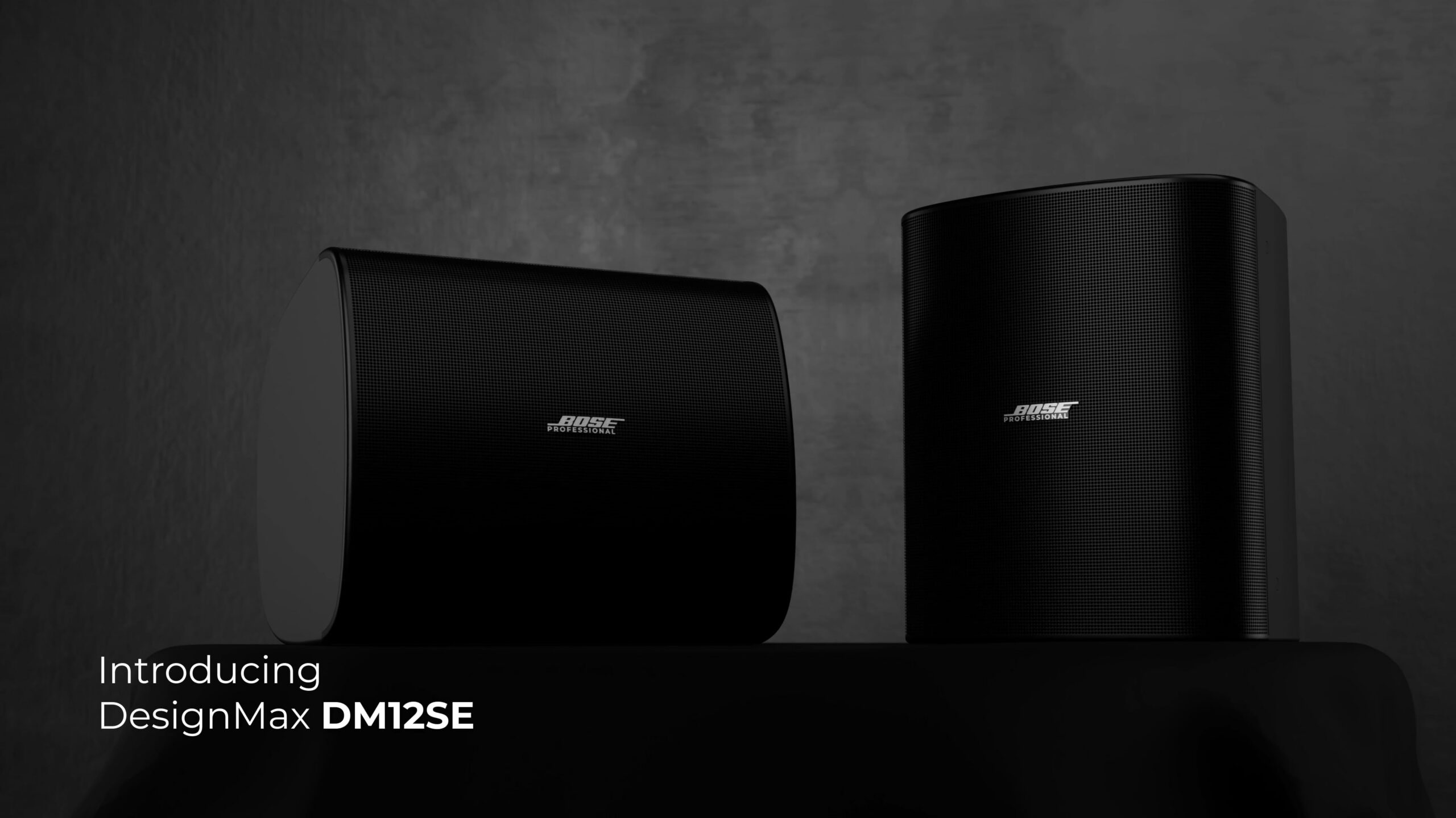 Bose Professional DM12SE