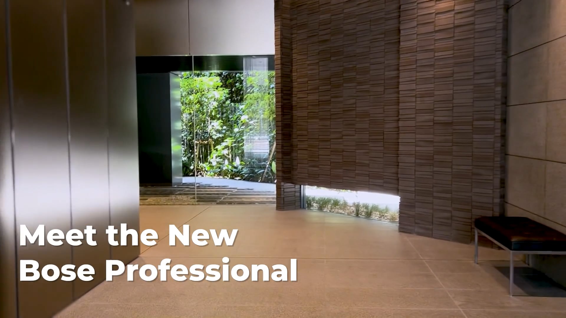 New Bose Professional