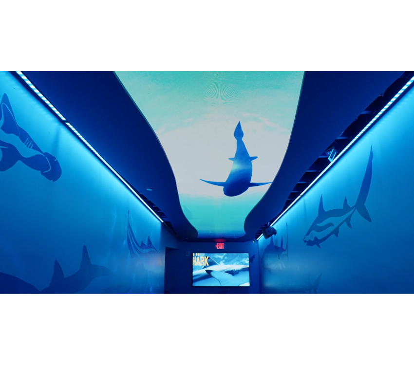 An illuminated corridor with overhead lighting and a dvLED video wall featuring shark silhouette content.